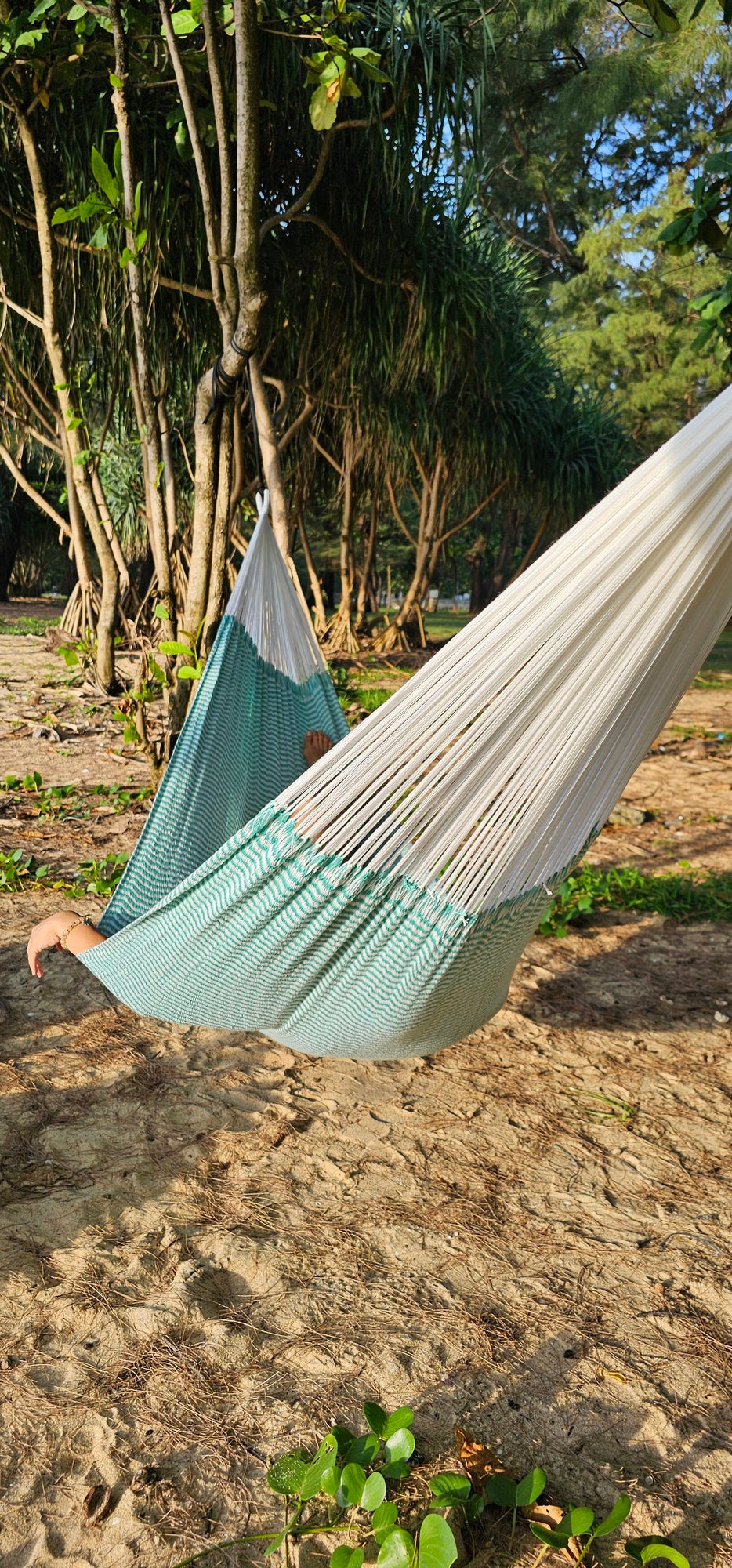 ULA Colorful hammocks - Mixcloud mint - Cozy