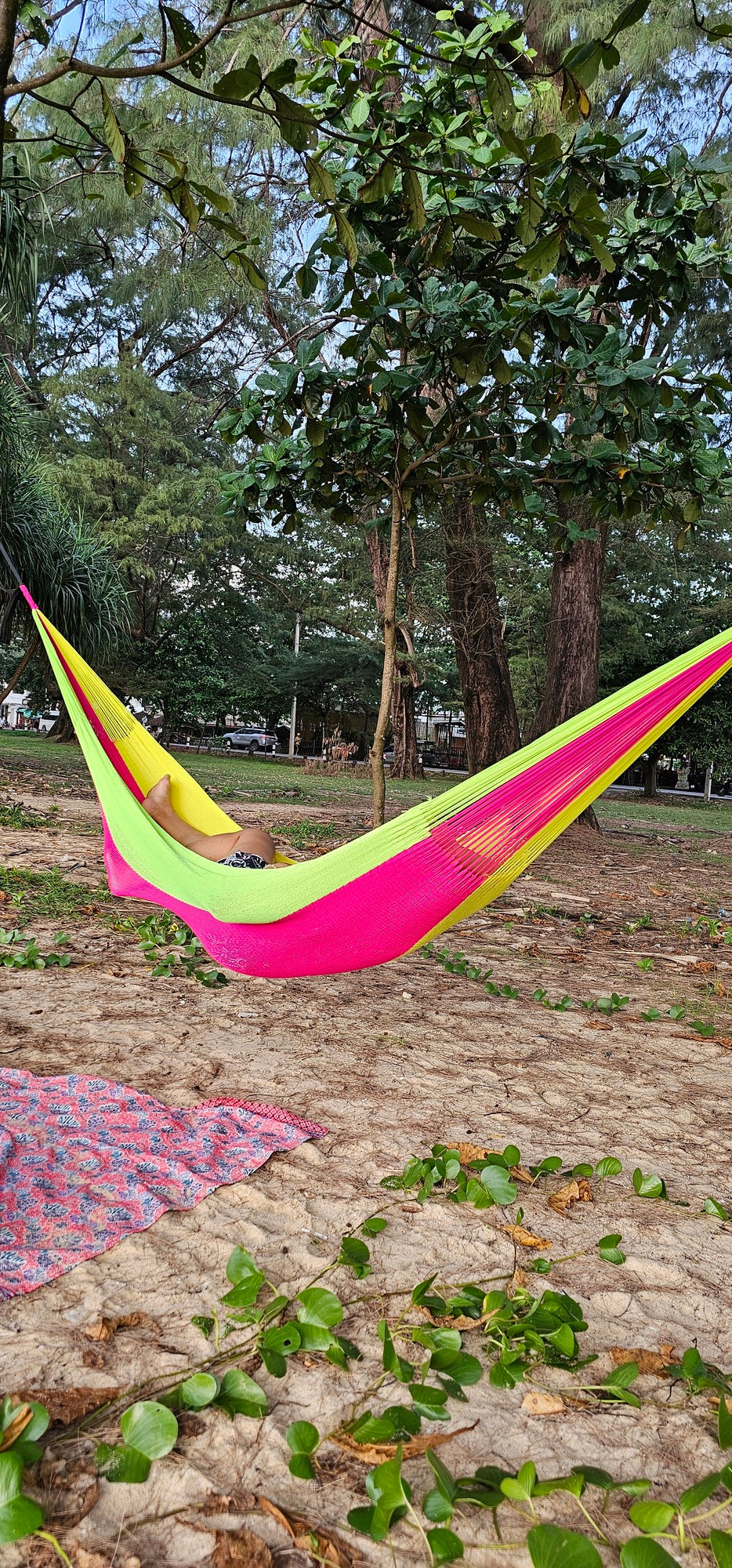 ULA Colorful hammocks - Funky - Trendy