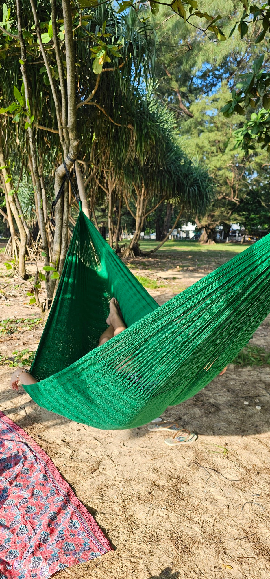 ULA Colorful hammocks - Jungle green - V