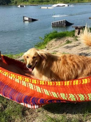 Earth_2_Wakepark Acrylic yarn colorful hammocks from ULA Collections