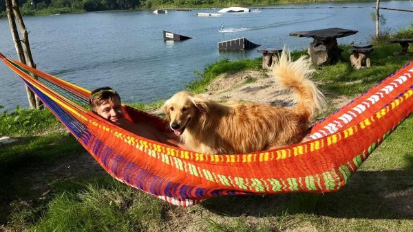 Acrylic yarn colorful hammocks from ULA Collections