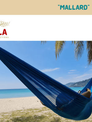 Acrylic yarn colorful hammocks from ULA Collections