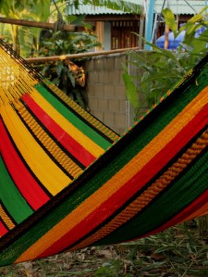Rasta_New Acrylic yarn colorful hammocks from ULA Collections