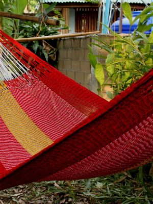 TJ_Rafflesia Acrylic yarn colorful hammocks from ULA Collections