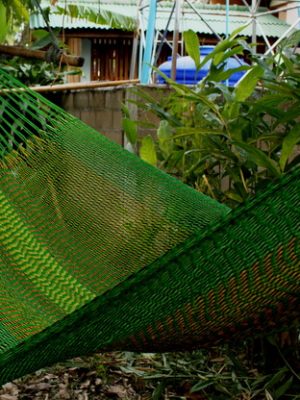 TJ_Shade_of_Green Acrylic yarn colorful hammocks from ULA Collections