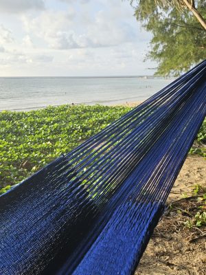 trendy_royal_blue4 hand-woven hammock from ULA Collections